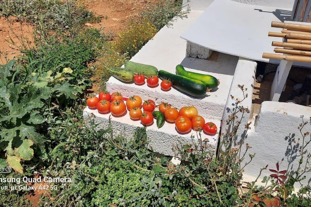 Charming Renovated Farmhouse! - Antiparos! Holiday home *