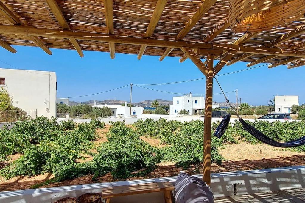 Charming Renovated Farmhouse! - Antiparos! Holiday home *