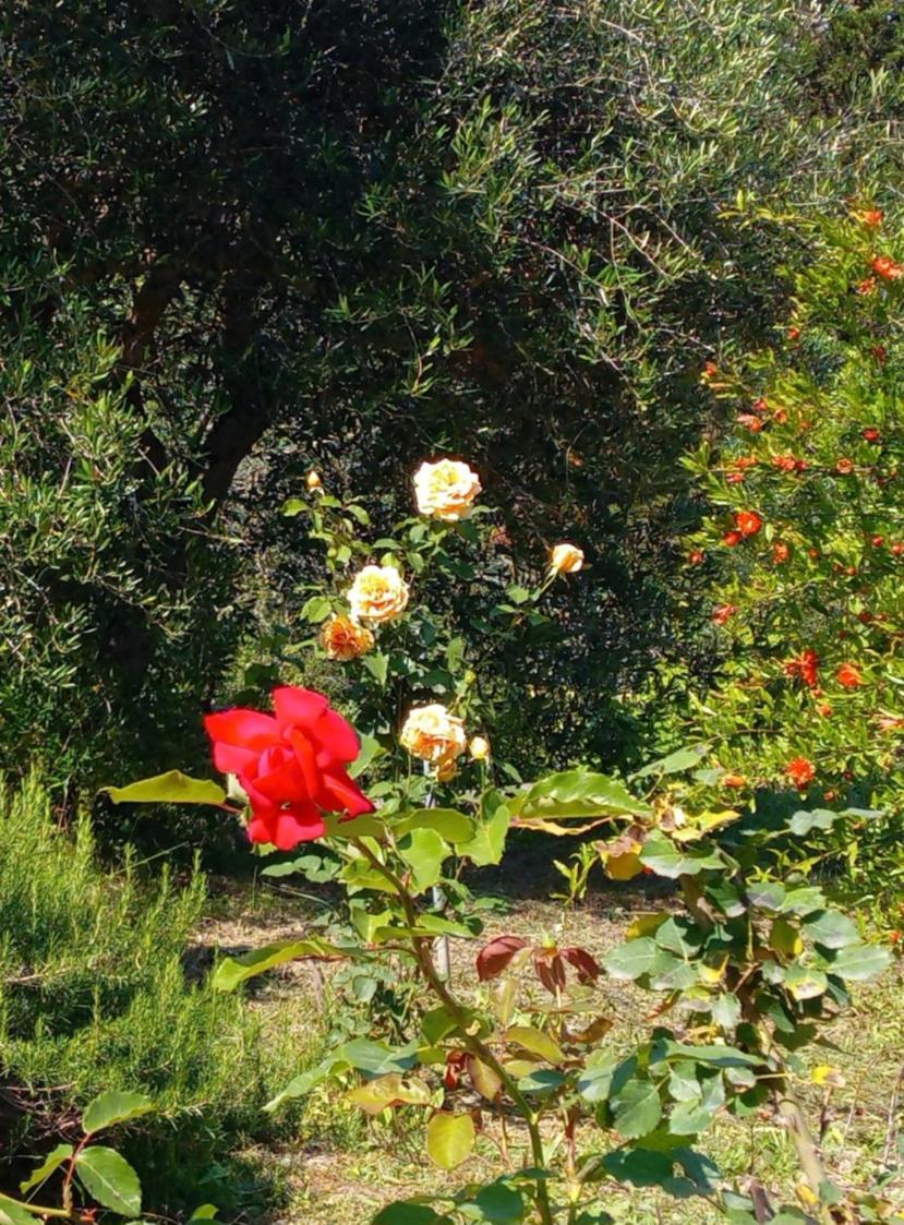 Teachers' House *