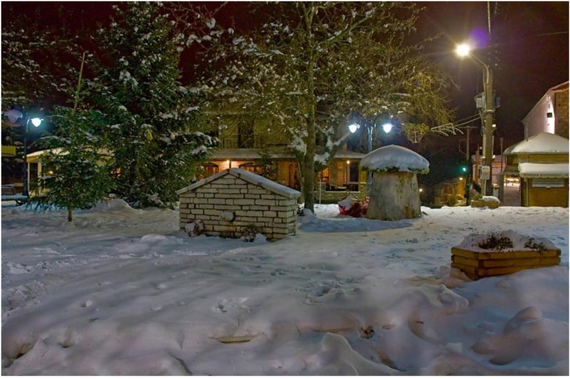 Apartment To Spiti Tis Pareas Agios Nikolaos (Central Greece)