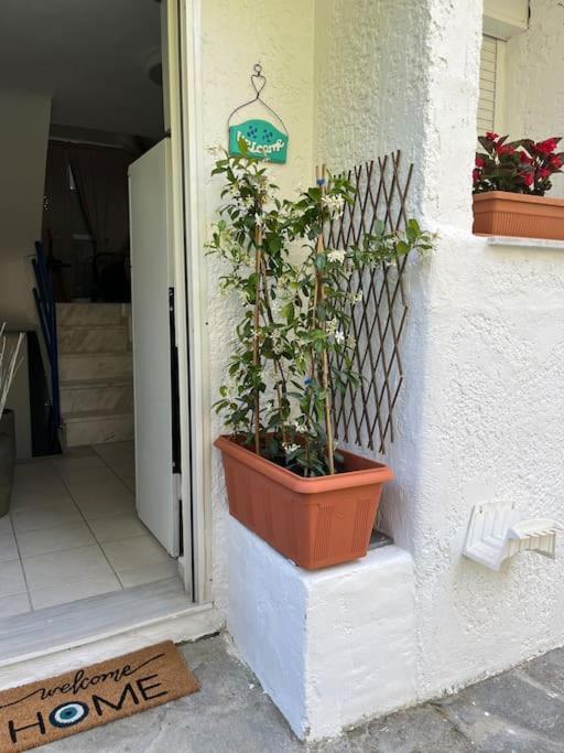 Sea View House In Halkidiki Holiday home