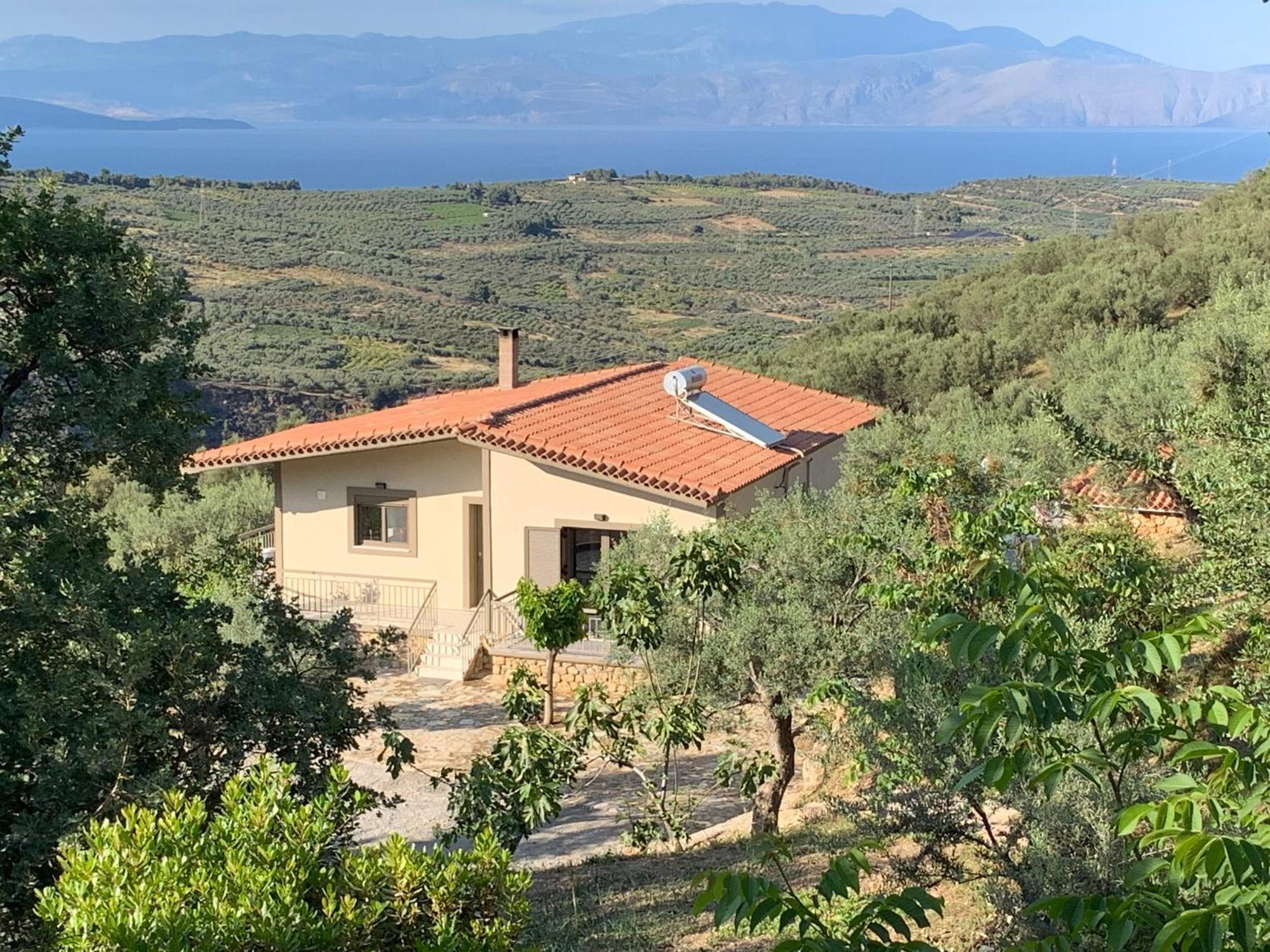 Olive Guest Farm Holiday home Akrata