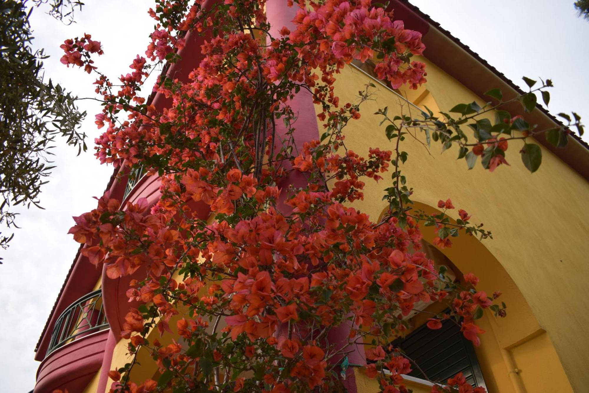 Apartment Fotini's 2 Toroni