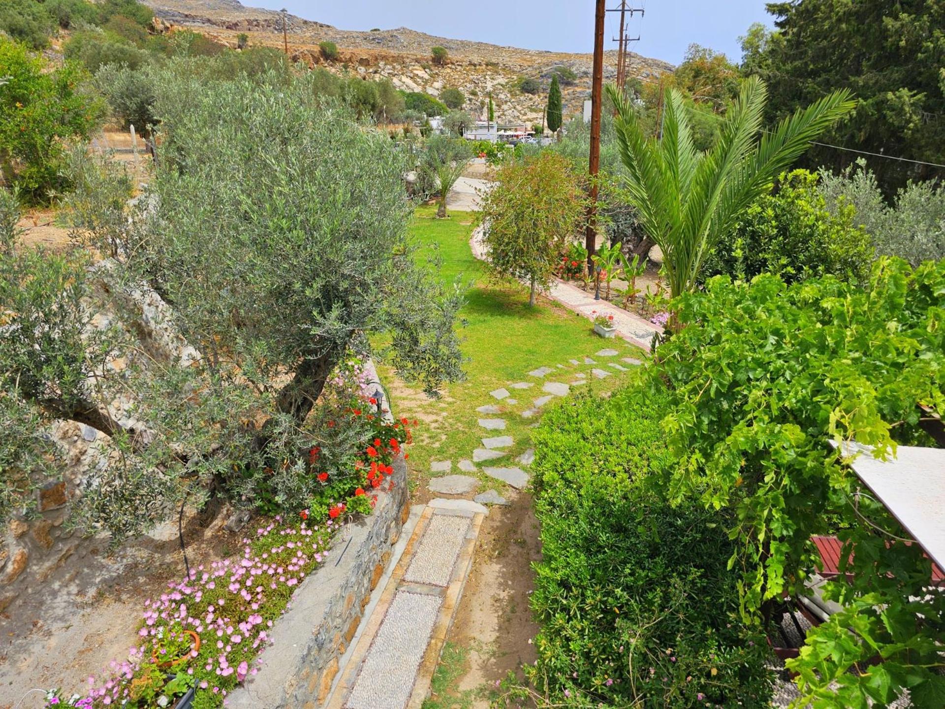 Galini View Lindos (Rhodes)