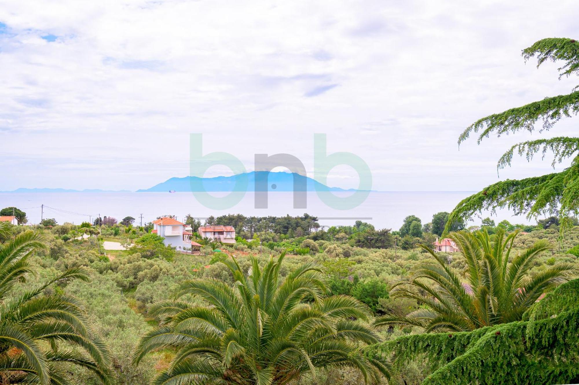 Oasis Palm Agia Paraskevi (Thrace)