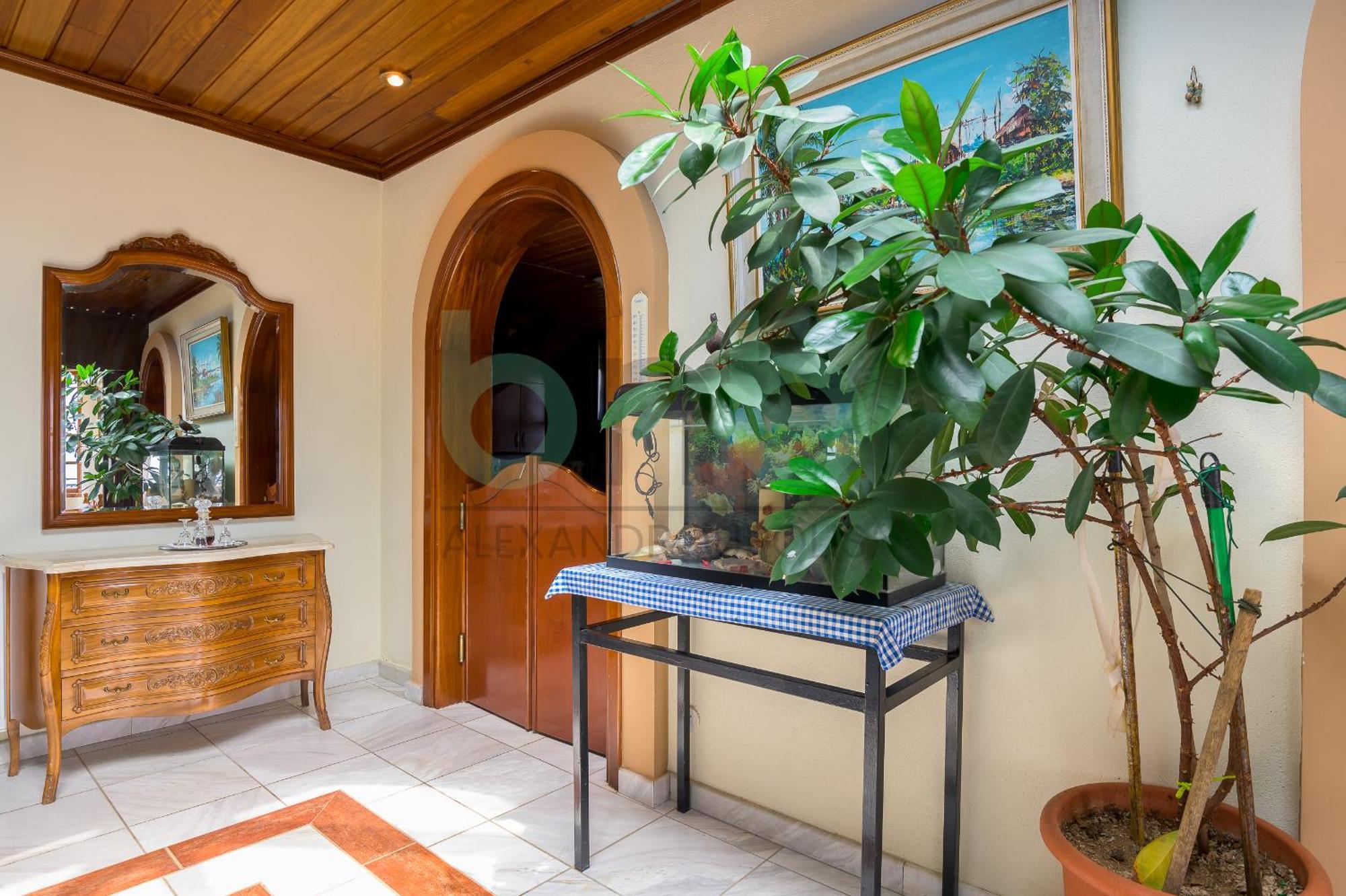 Oasis Palm