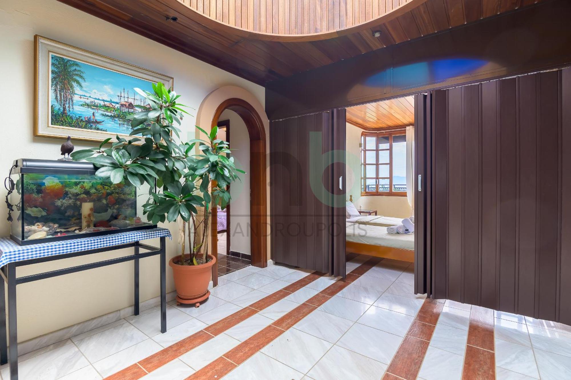 Oasis Palm *