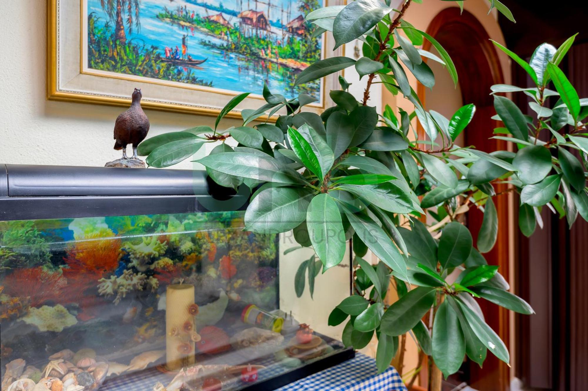 Apartment Oasis Palm *