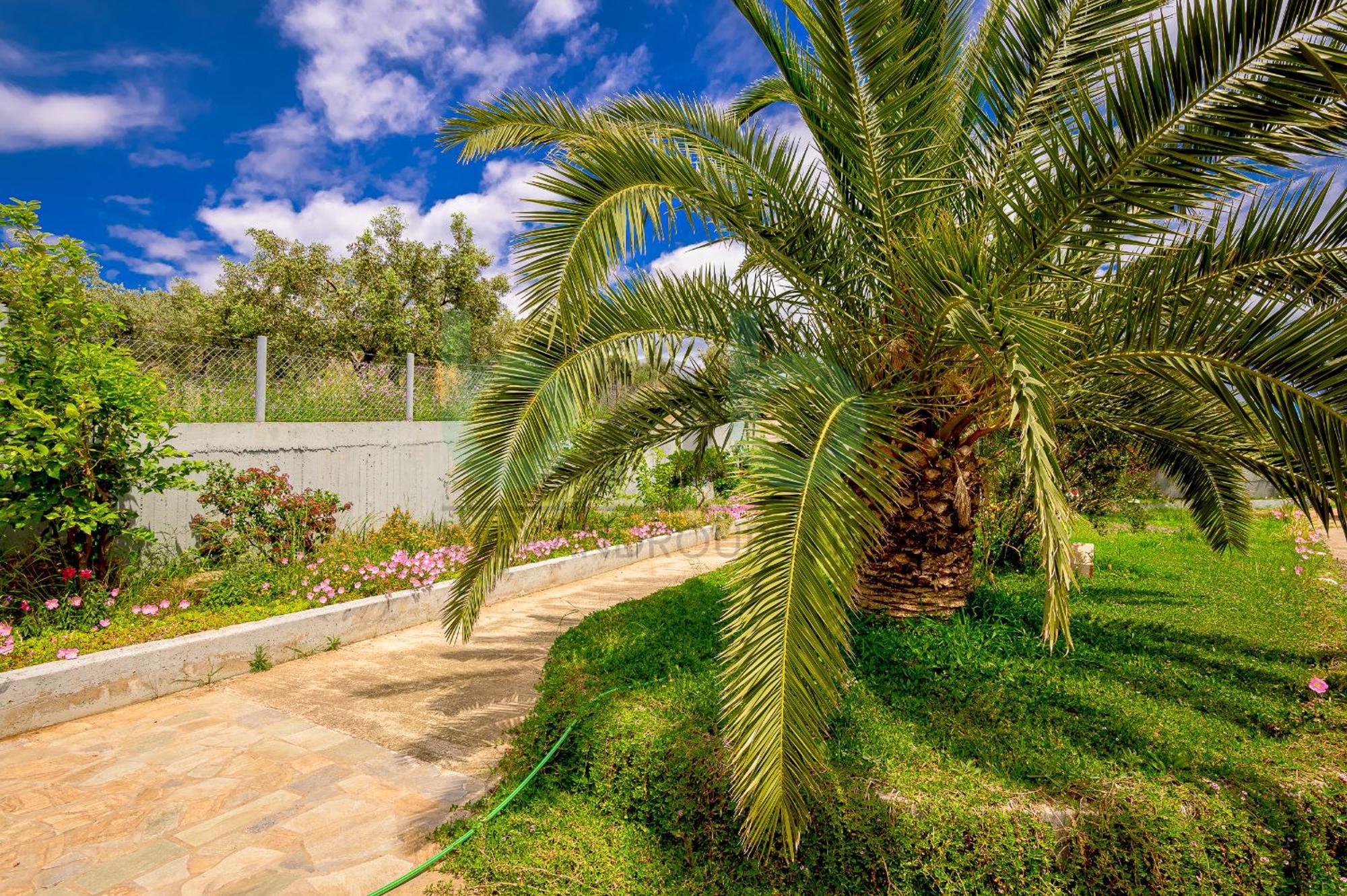 Oasis Palm Apartment Agia Paraskevi (Thrace)