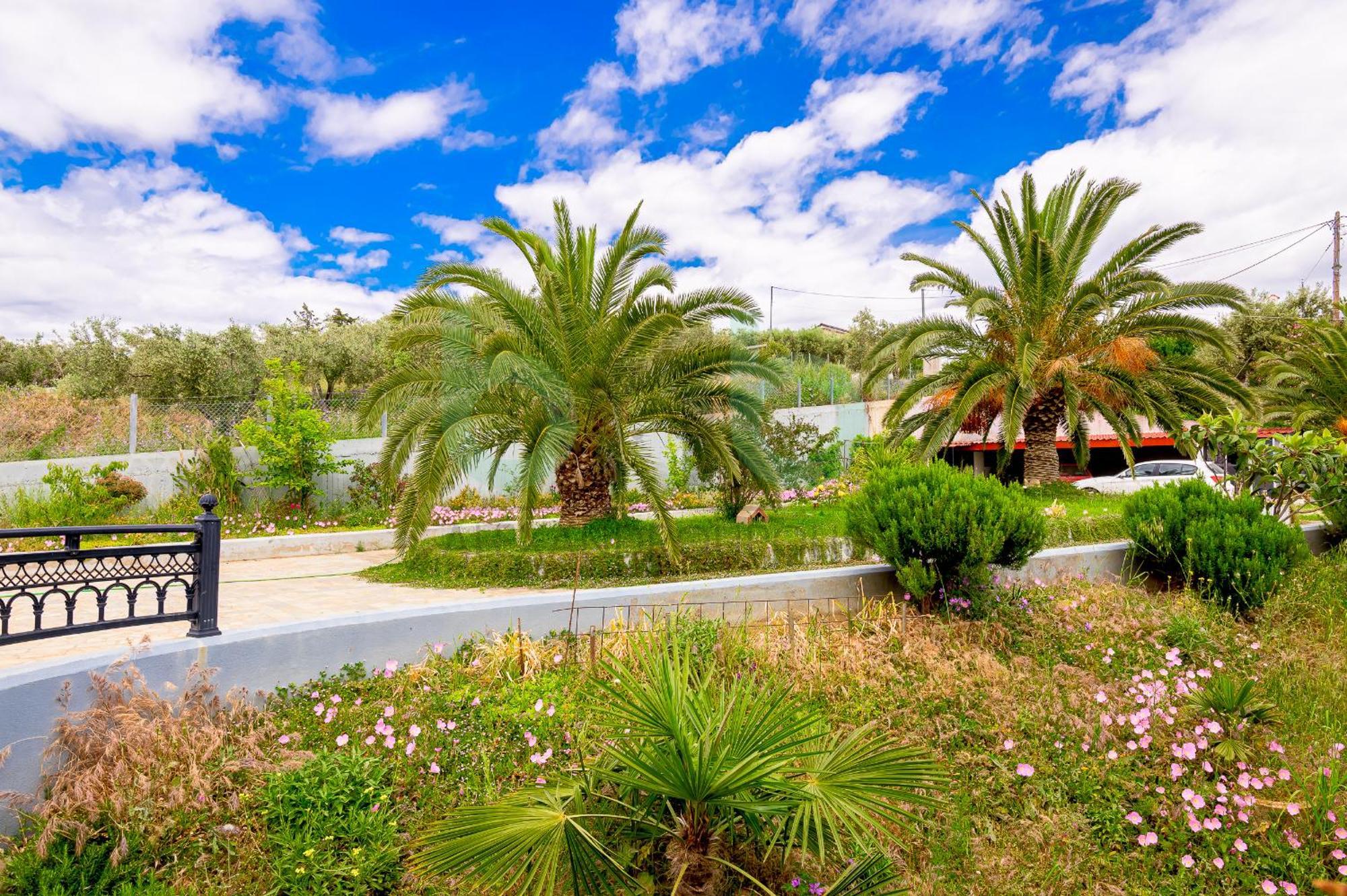 Oasis Palm Apartment