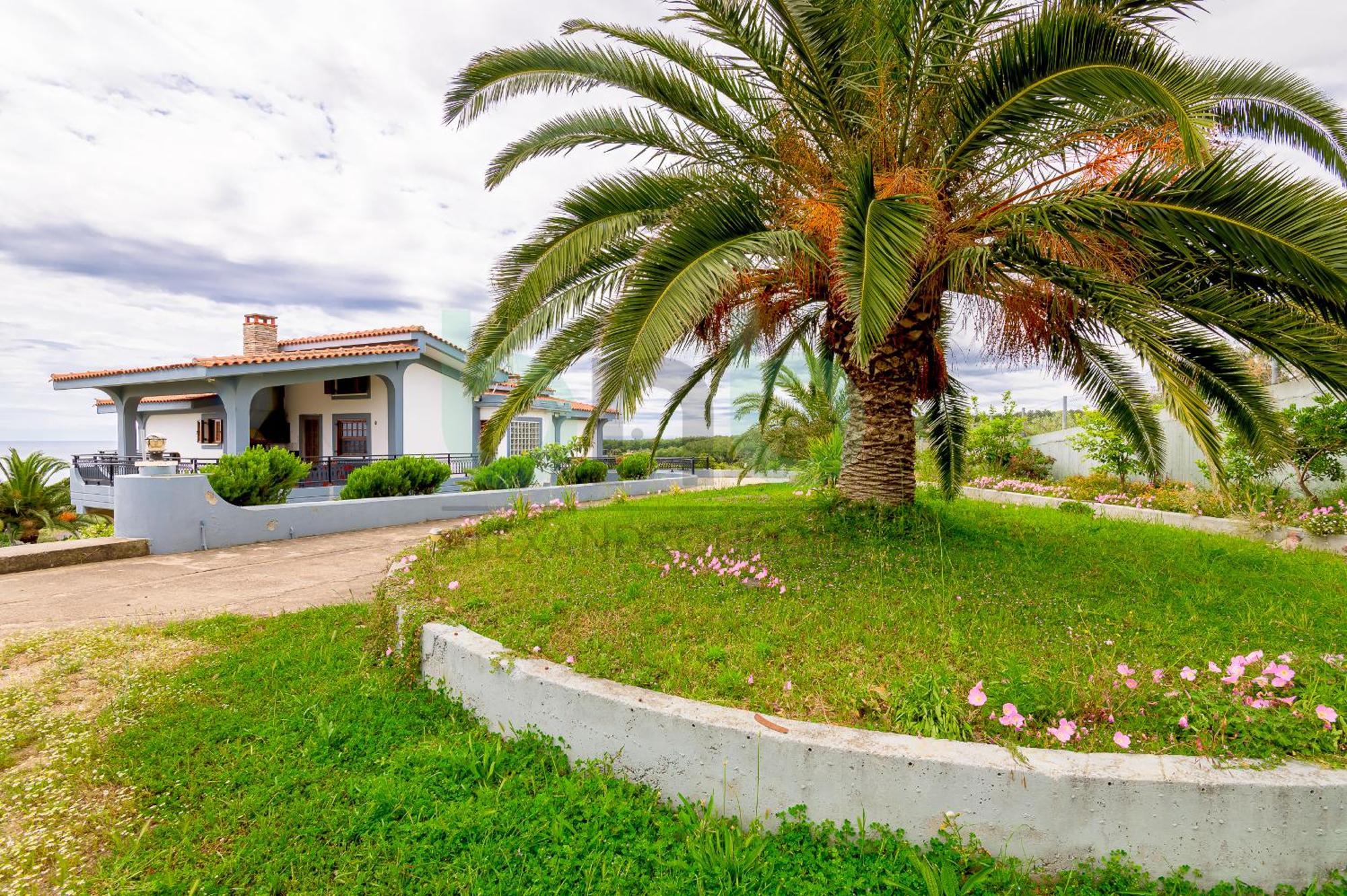 Oasis Palm Agia Paraskevi (Thrace)