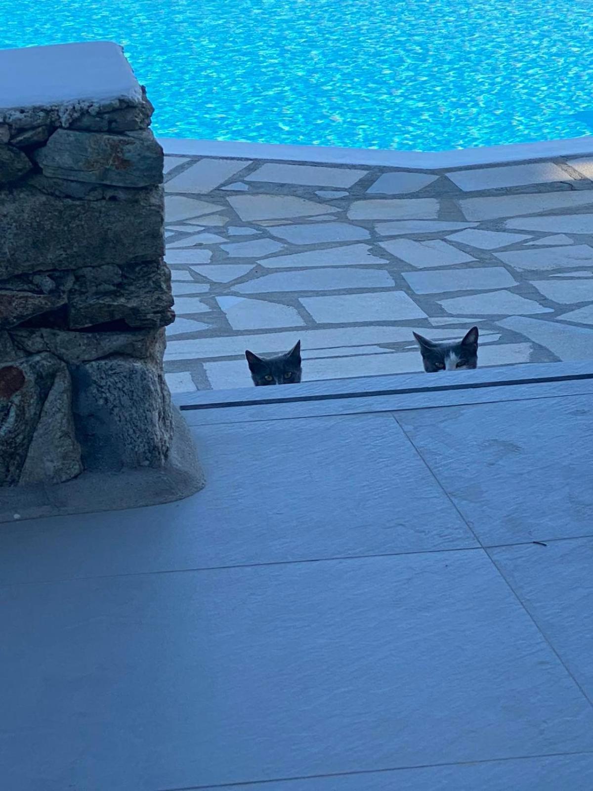 Cavo Blue Villa Elia (Mykonos)