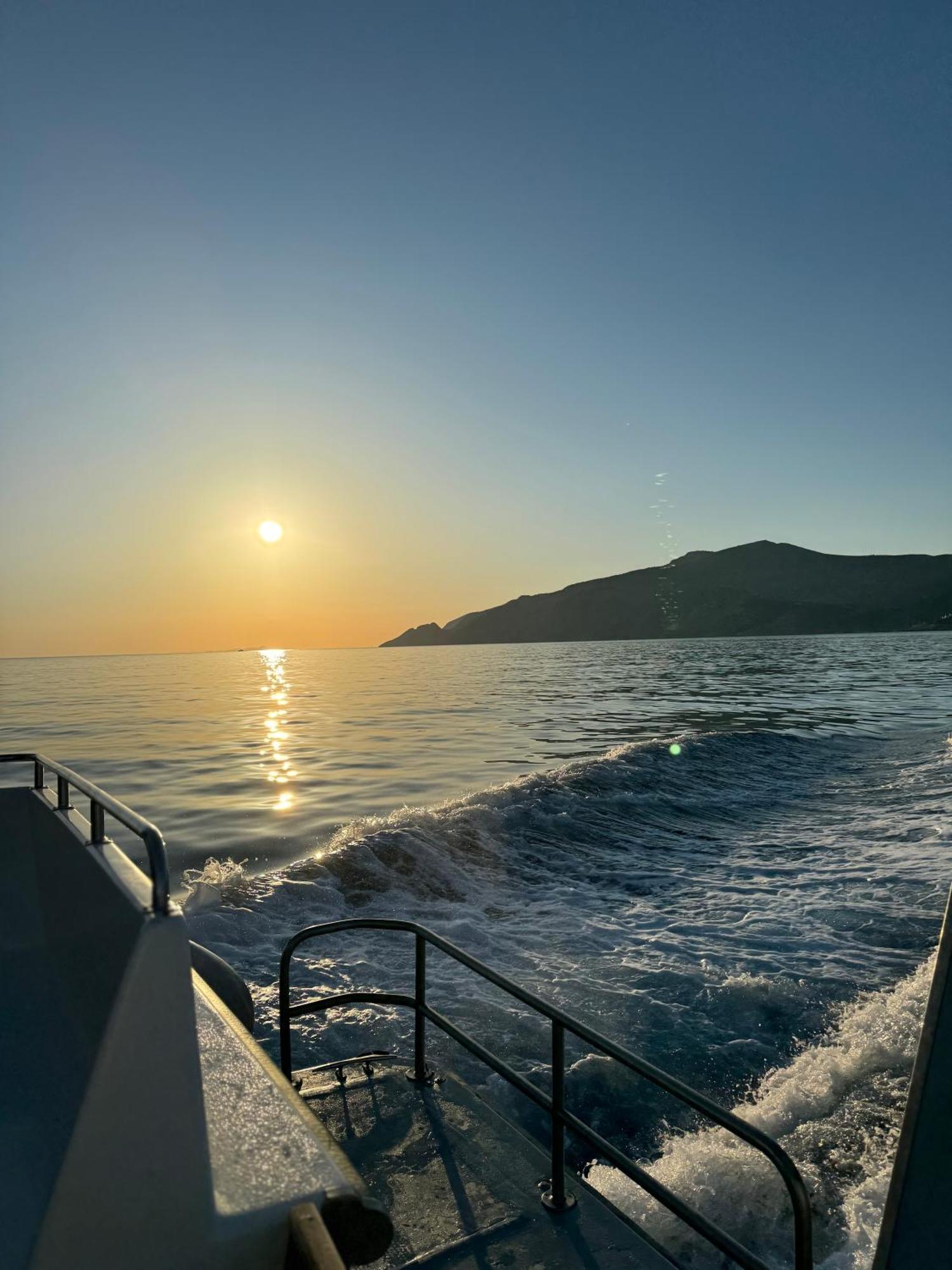 Hydra's View