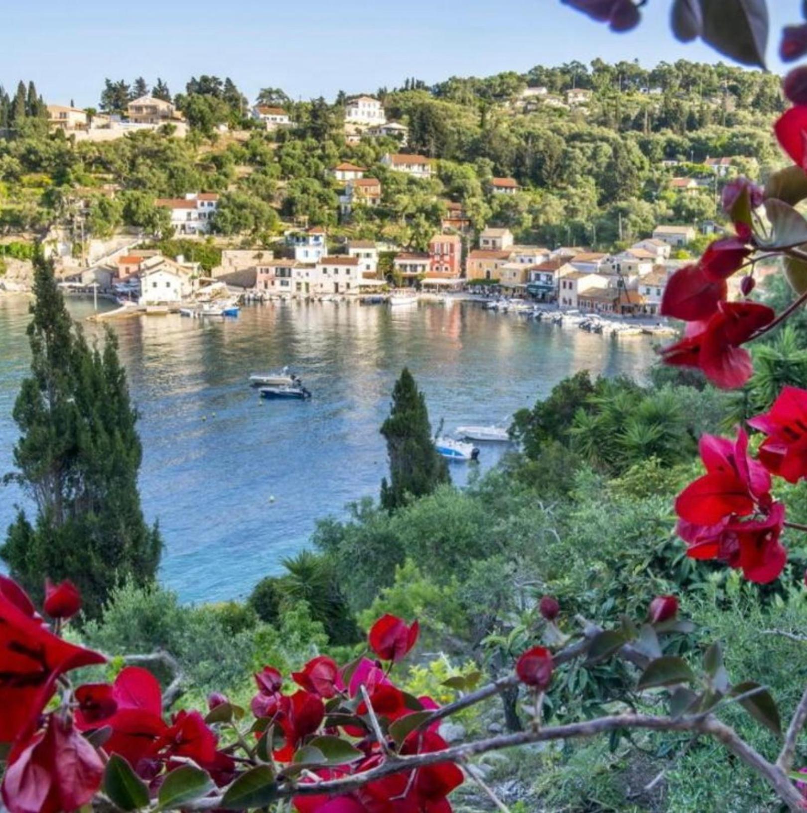 Apartment Aronis Spyros Panoramic Seaview Longos (Paxos)