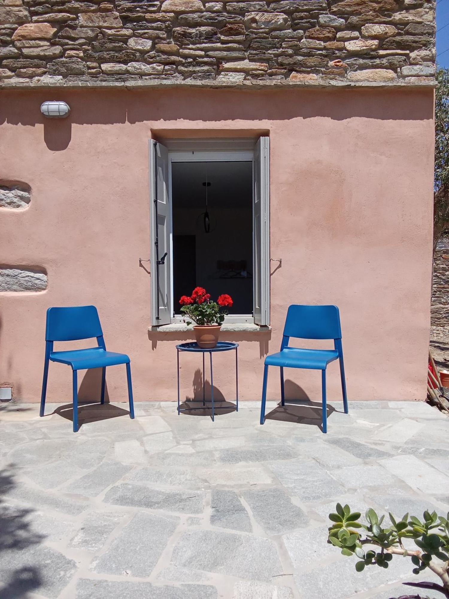 Blue Agave * Agios Sostis (Tinos)