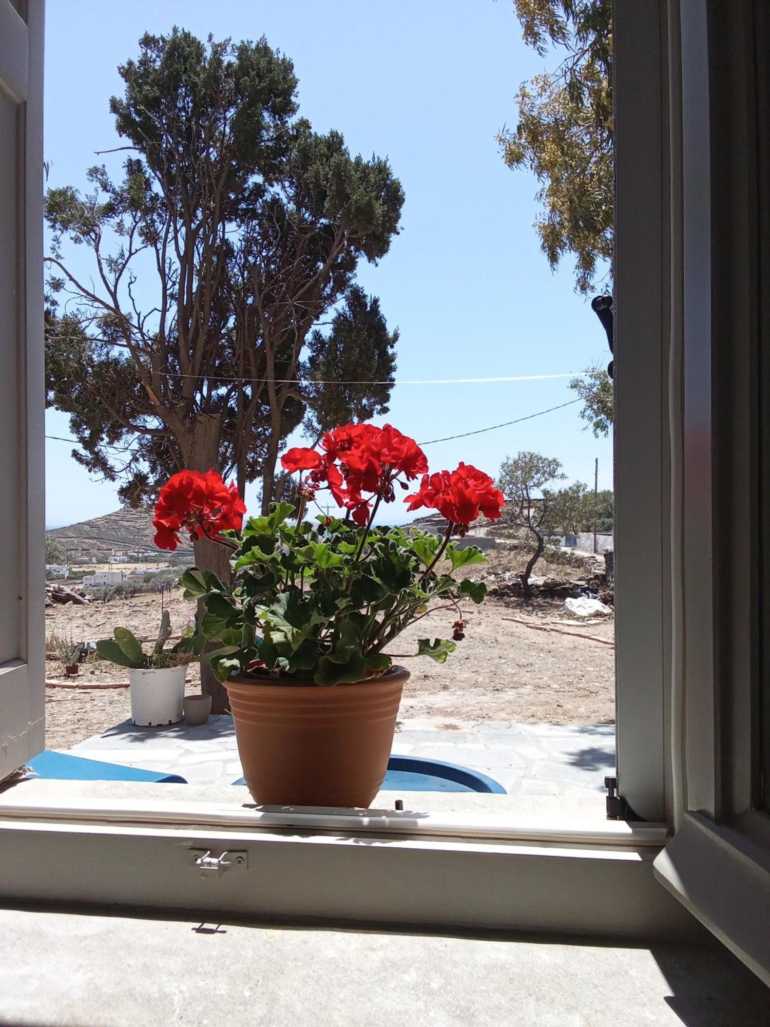 Blue Agave Holiday home Agios Sostis (Tinos)