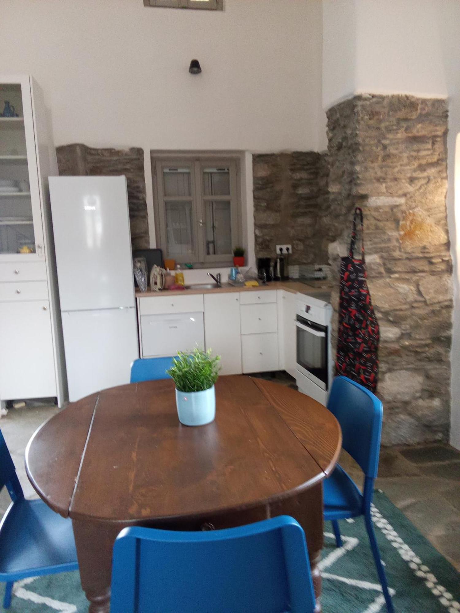 Blue Agave * Agios Sostis (Tinos)