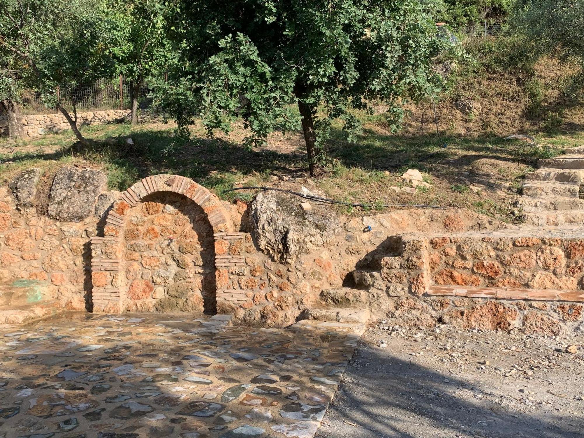 Olive Guest Farm