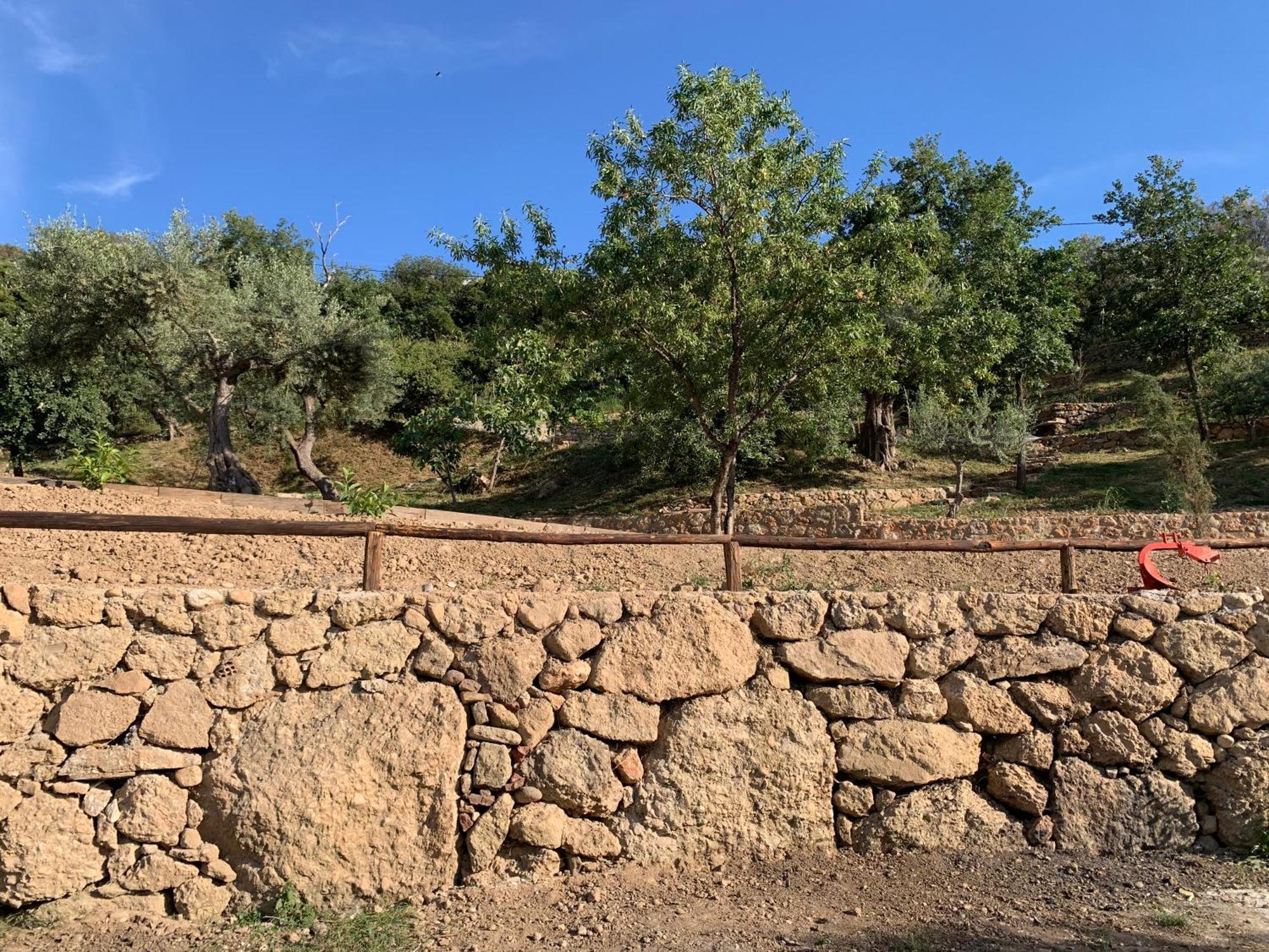 Holiday home Olive Guest Farm Akrata
