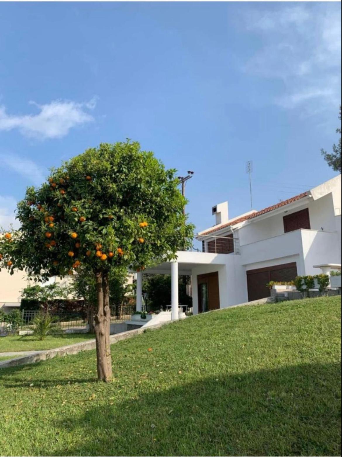 Nikogroup Holiday home *
