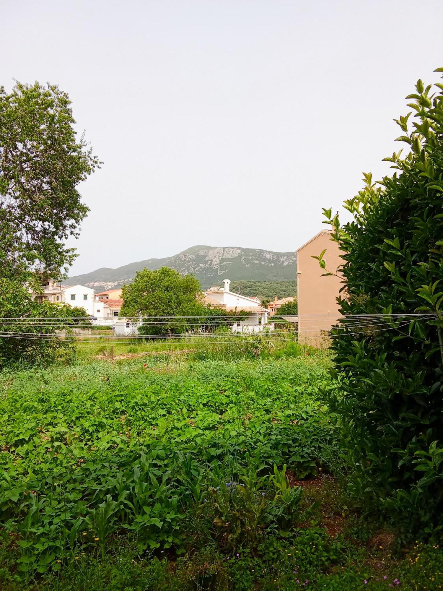 Stamyra House Apartment