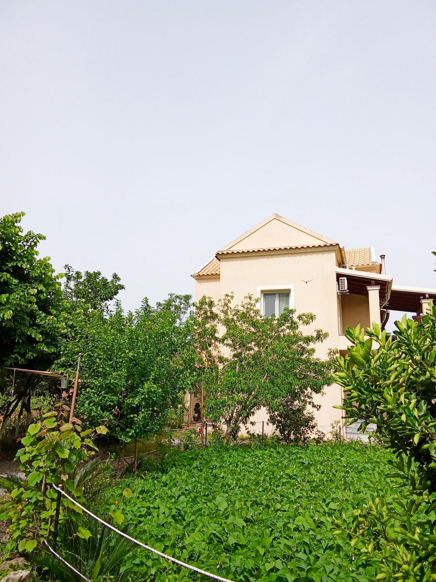 Stamyra House