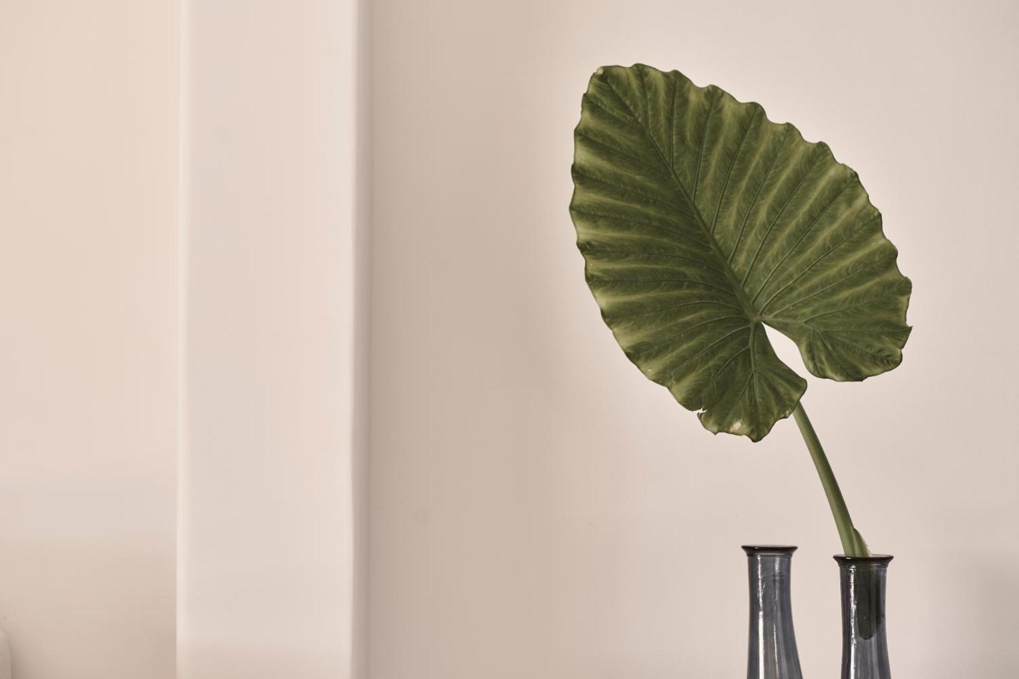 Yria Island Boutique & Hotel