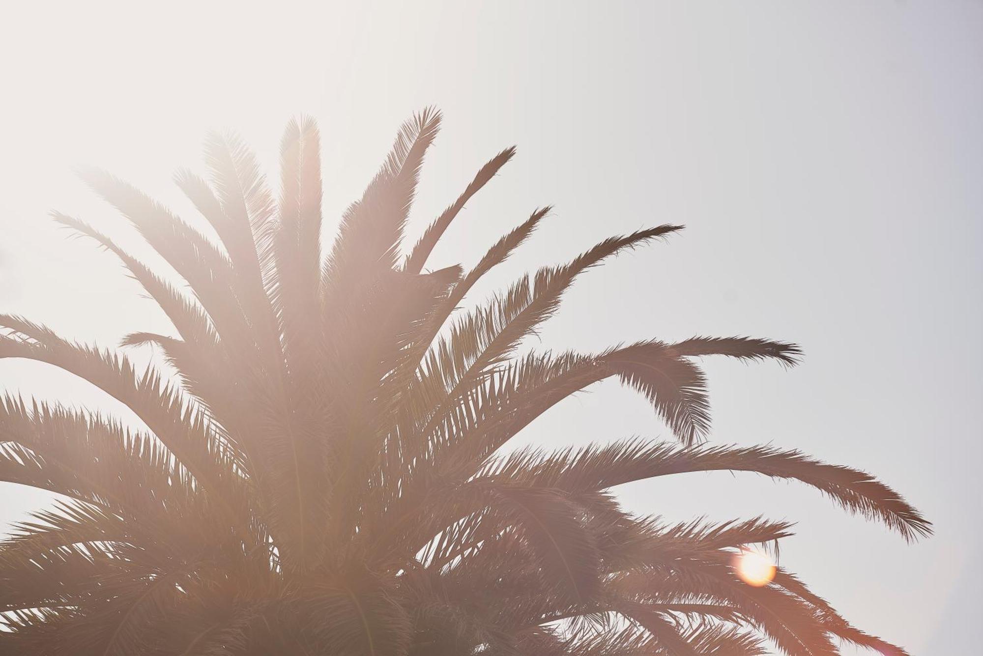 Yria Island Boutique &