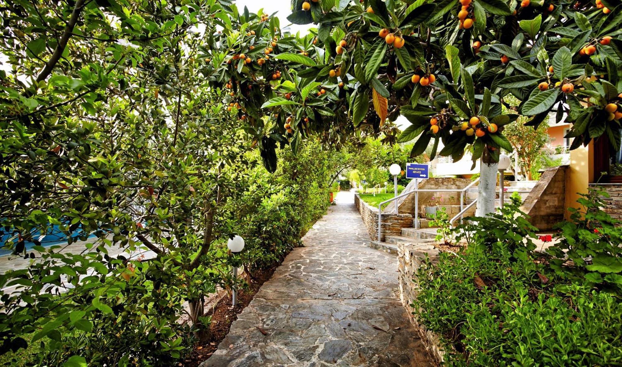 Miramare 4* Eretria (Evia)