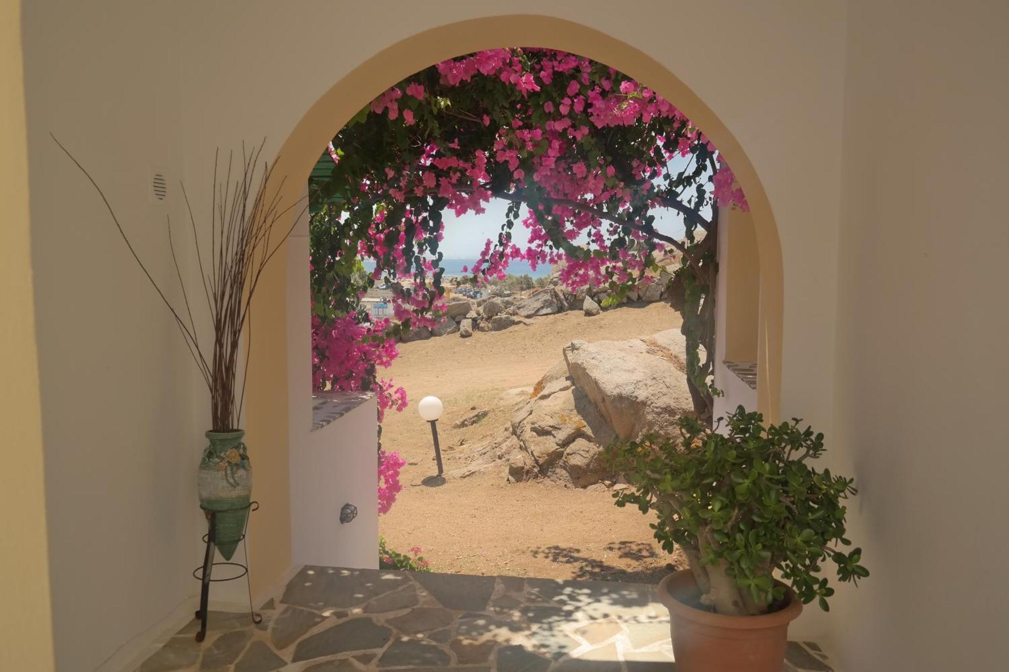 Panoramic View *