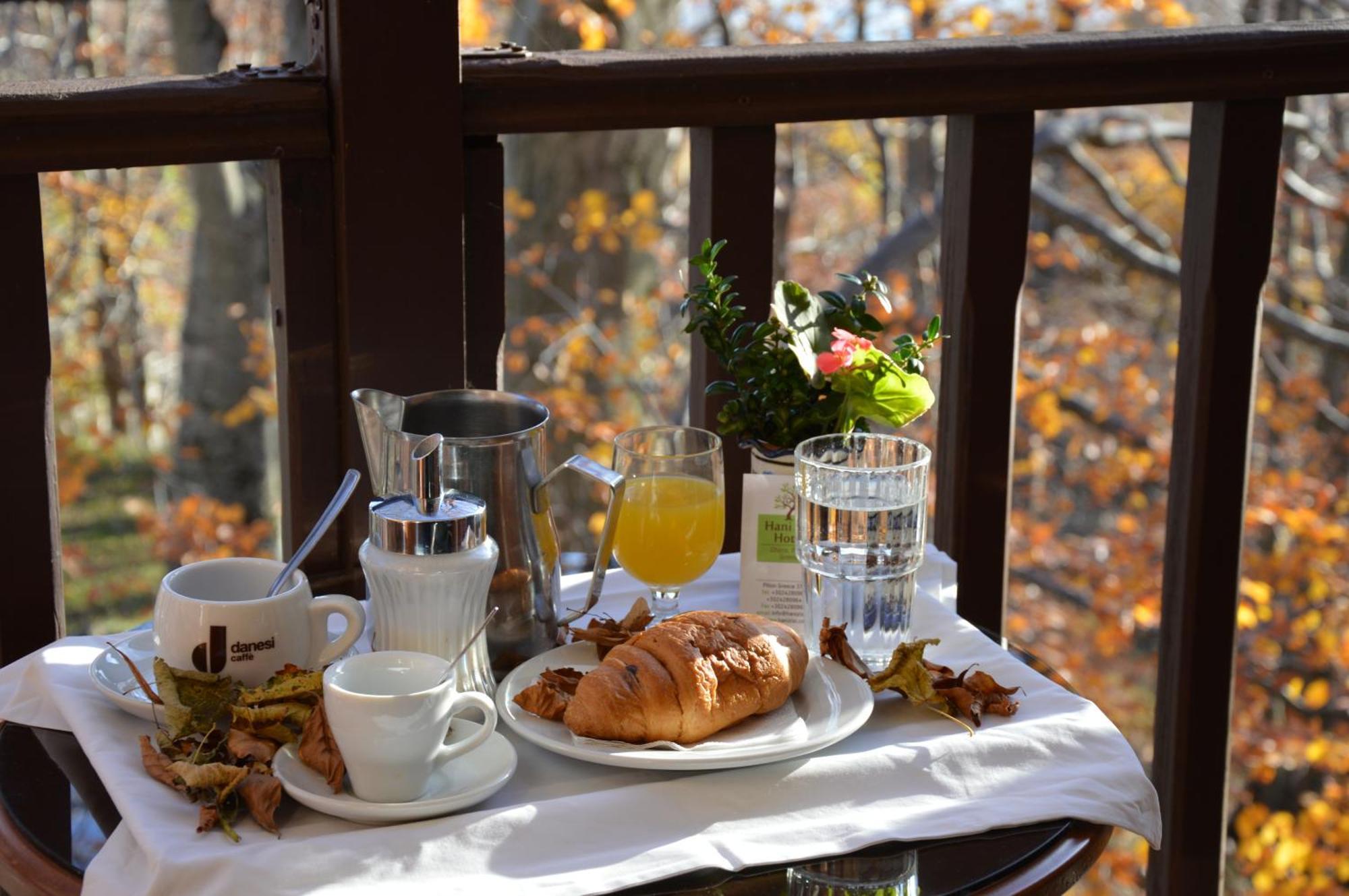 Hani Zisi Hotel