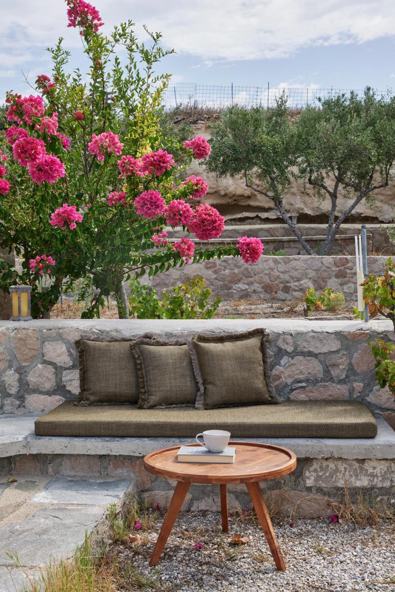 Iliana Olive Branch * Adamantas (Milos)
