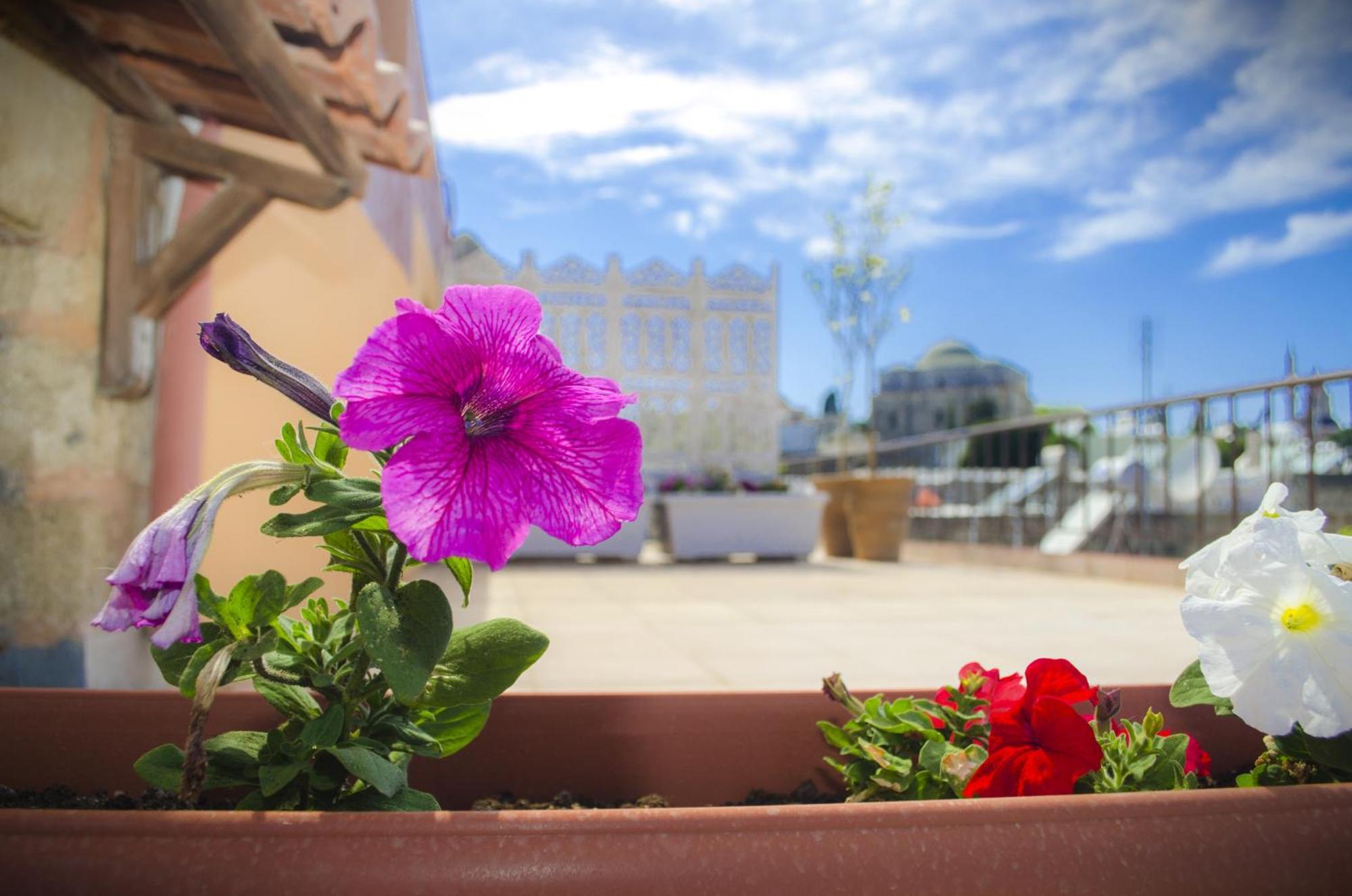 Petrino Aparthotel 4*