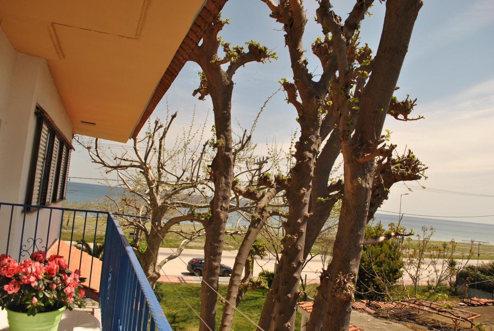 Xara Apartment