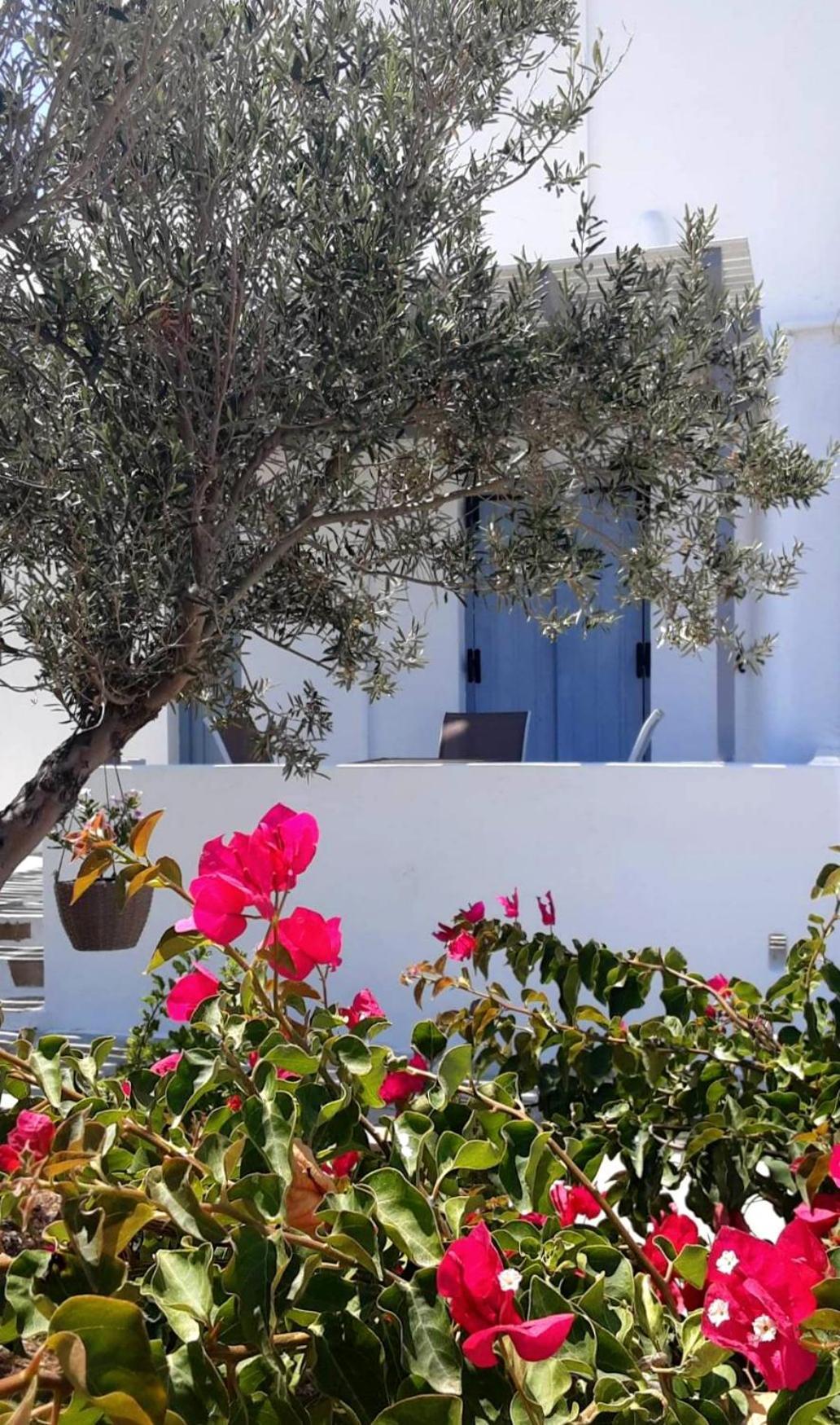 Apanema Paros Apartment