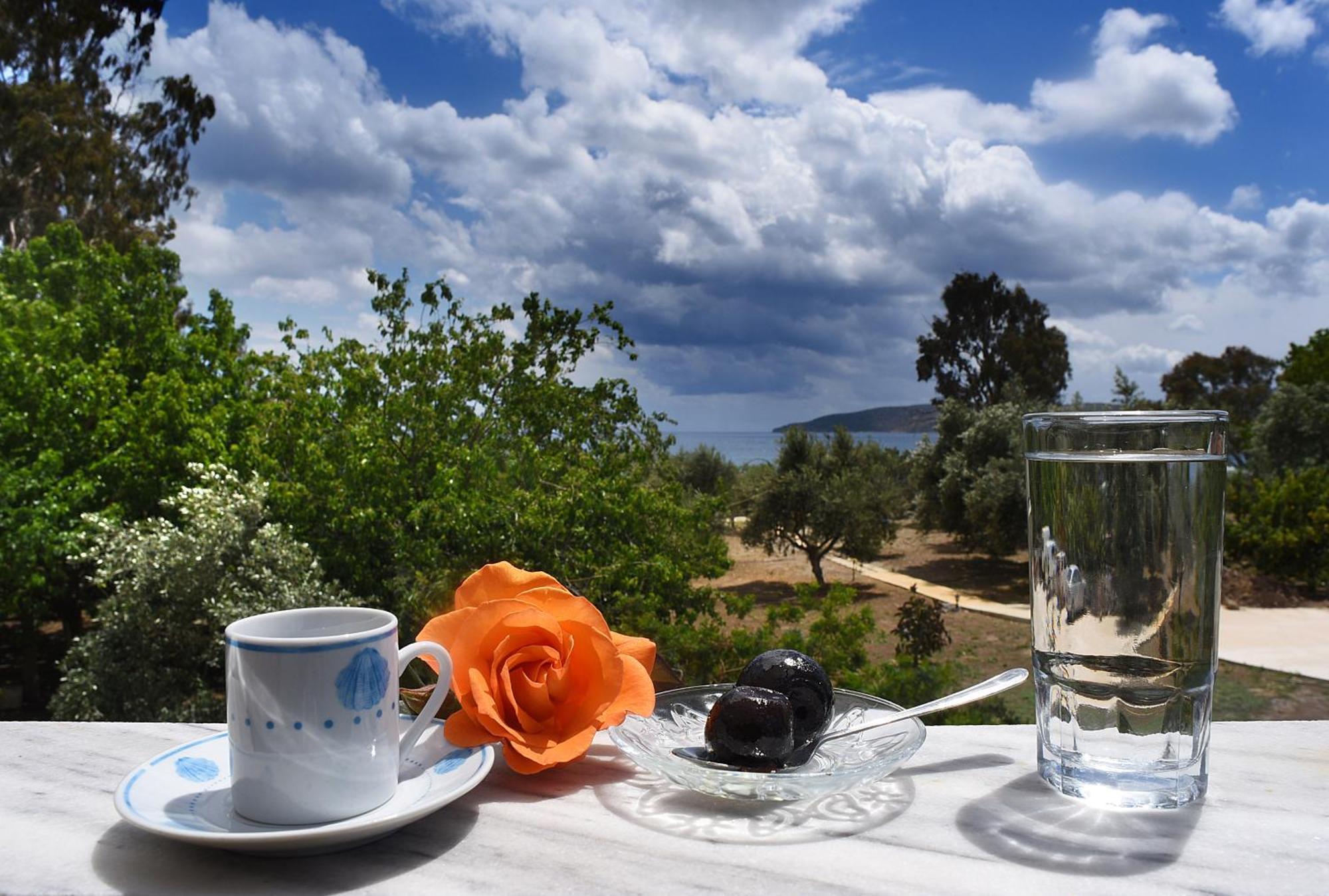 Mikro Xorio Aparthotel
