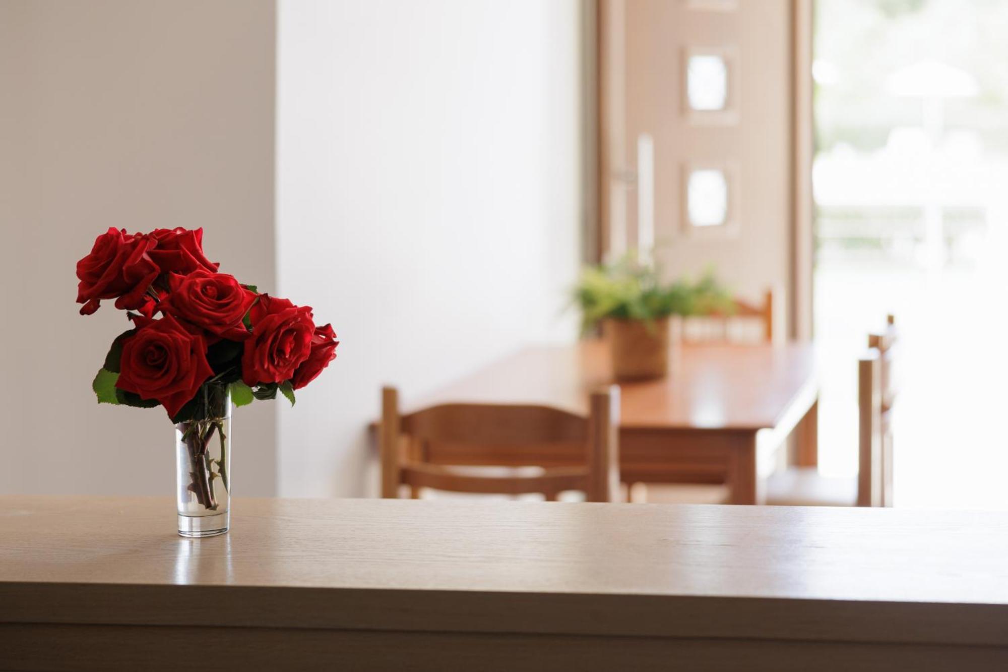 Apartment Santos Luxury