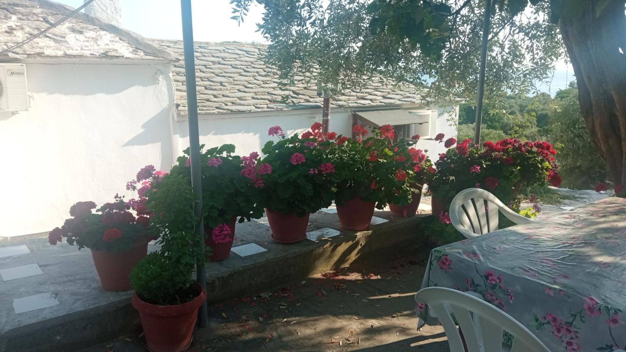 Vaso Aliki (Thasos)