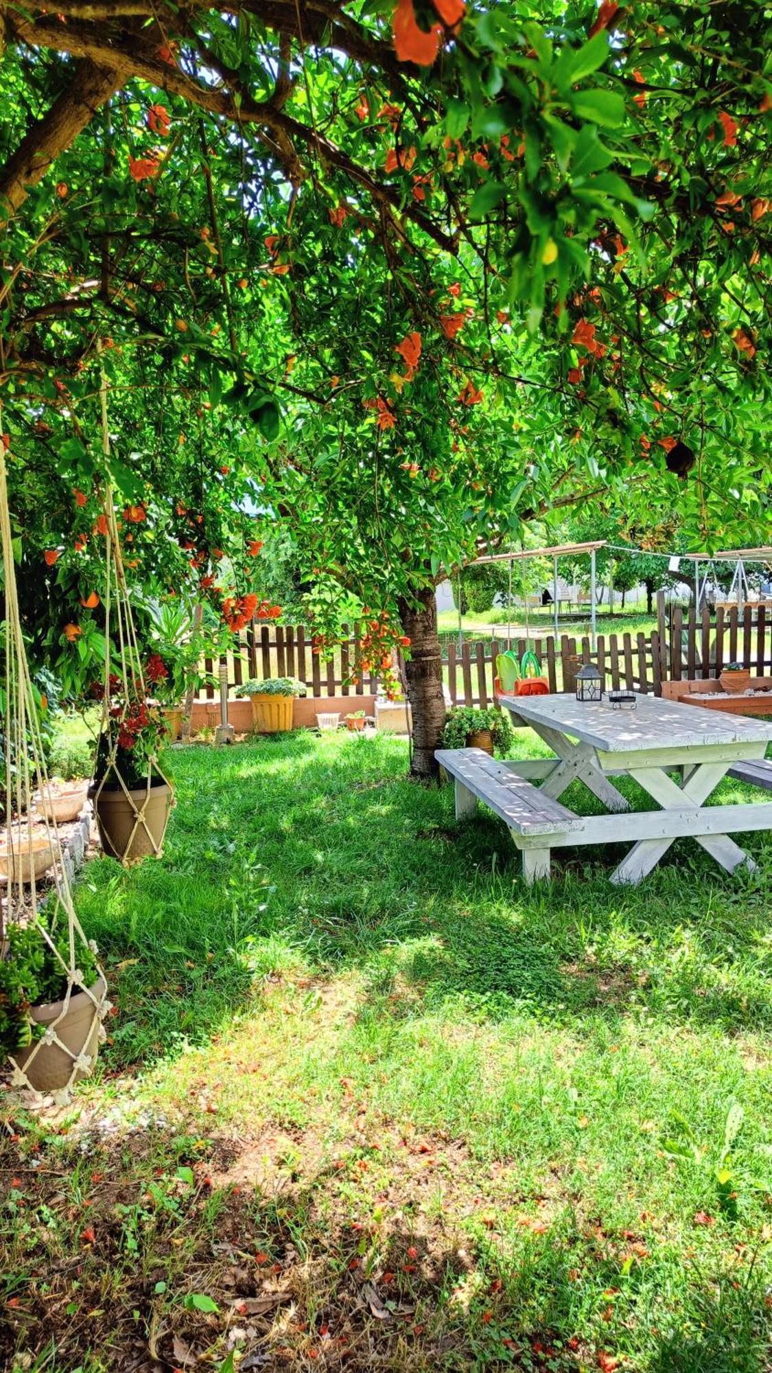 Aparthotel Garden House Katerina *