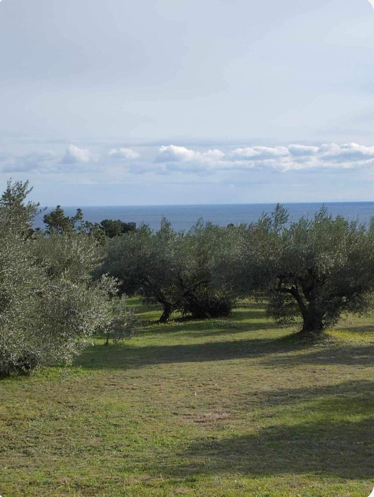 Holiday home Zeusplace Olympus Olive 2 *