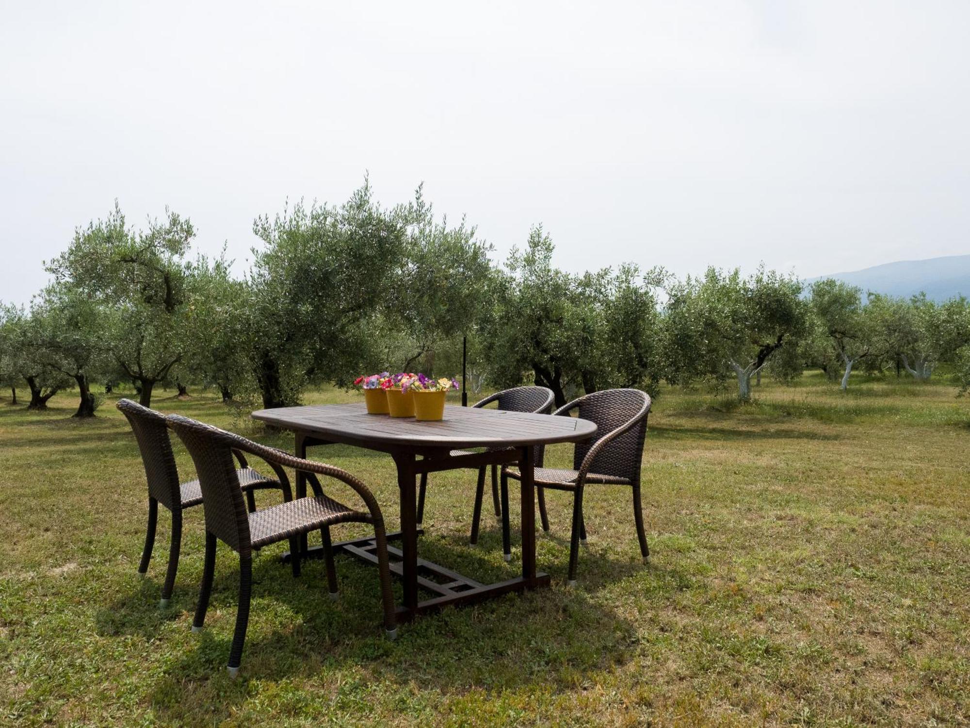 Holiday home Zeusplace Olympus Olive 2 *
