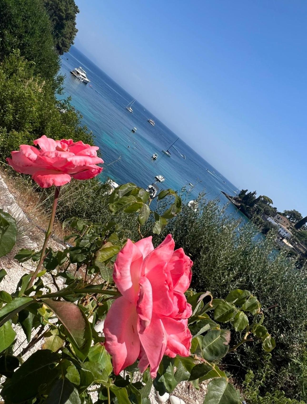 Aronis Spyros Panoramic Seaview * Longos (Paxos)