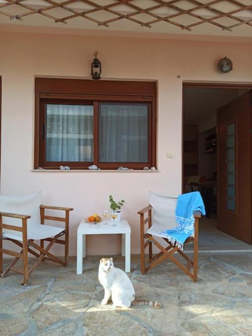 Plaka Elounda Cozy