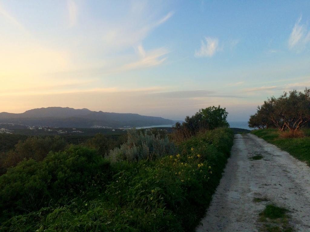 Crete Olive Mill Villa *