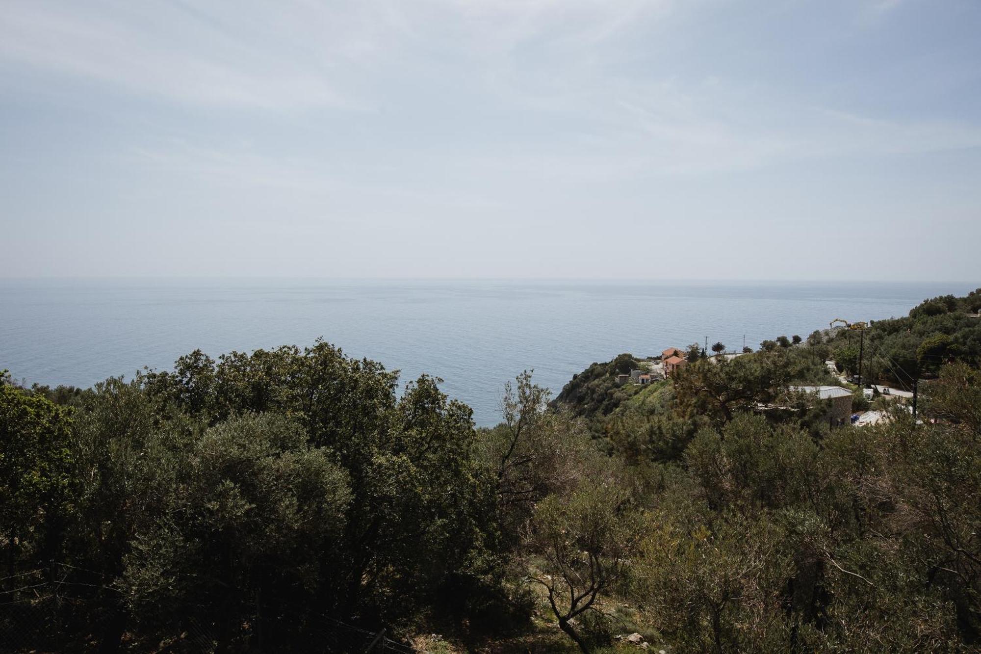 Five Olive Dream Trip Holiday home *
