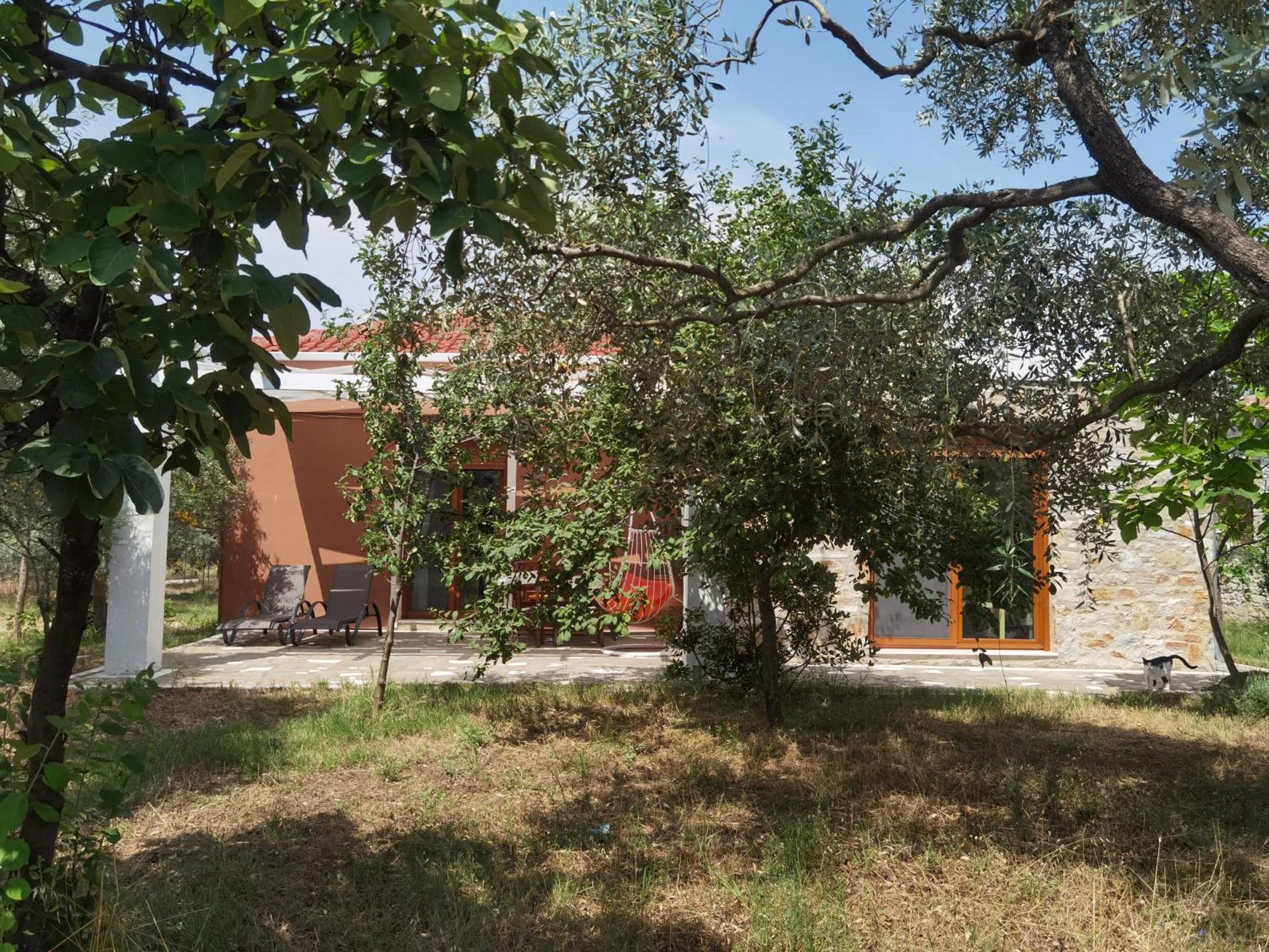 Elea Stone In Organic Quiet Olive Grove, Prinos, Thassos Villa *