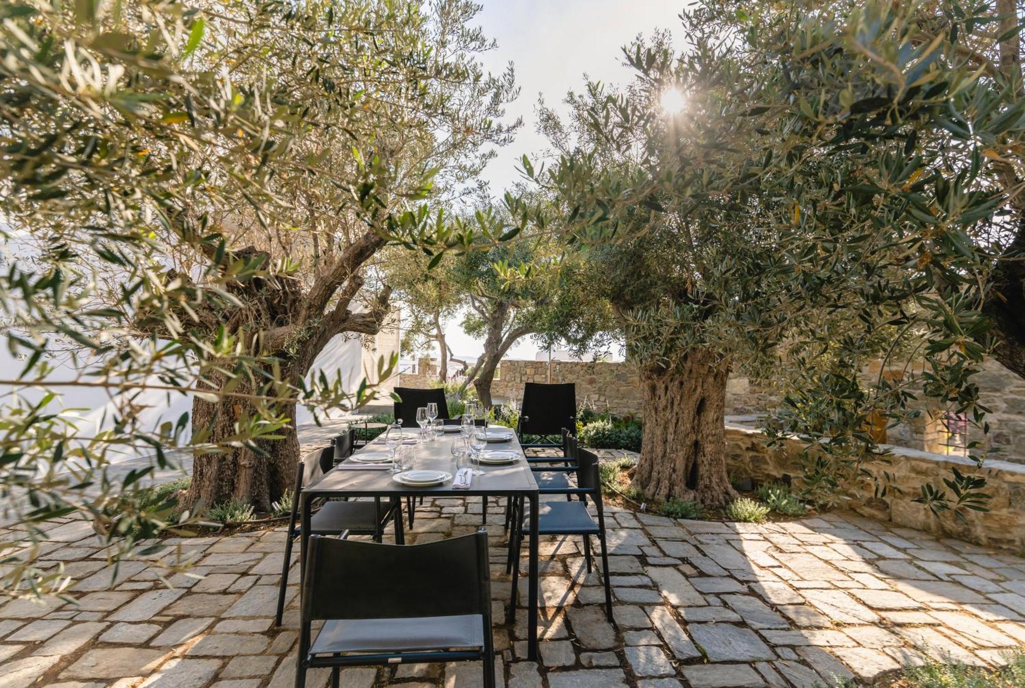 Rochari Hotel