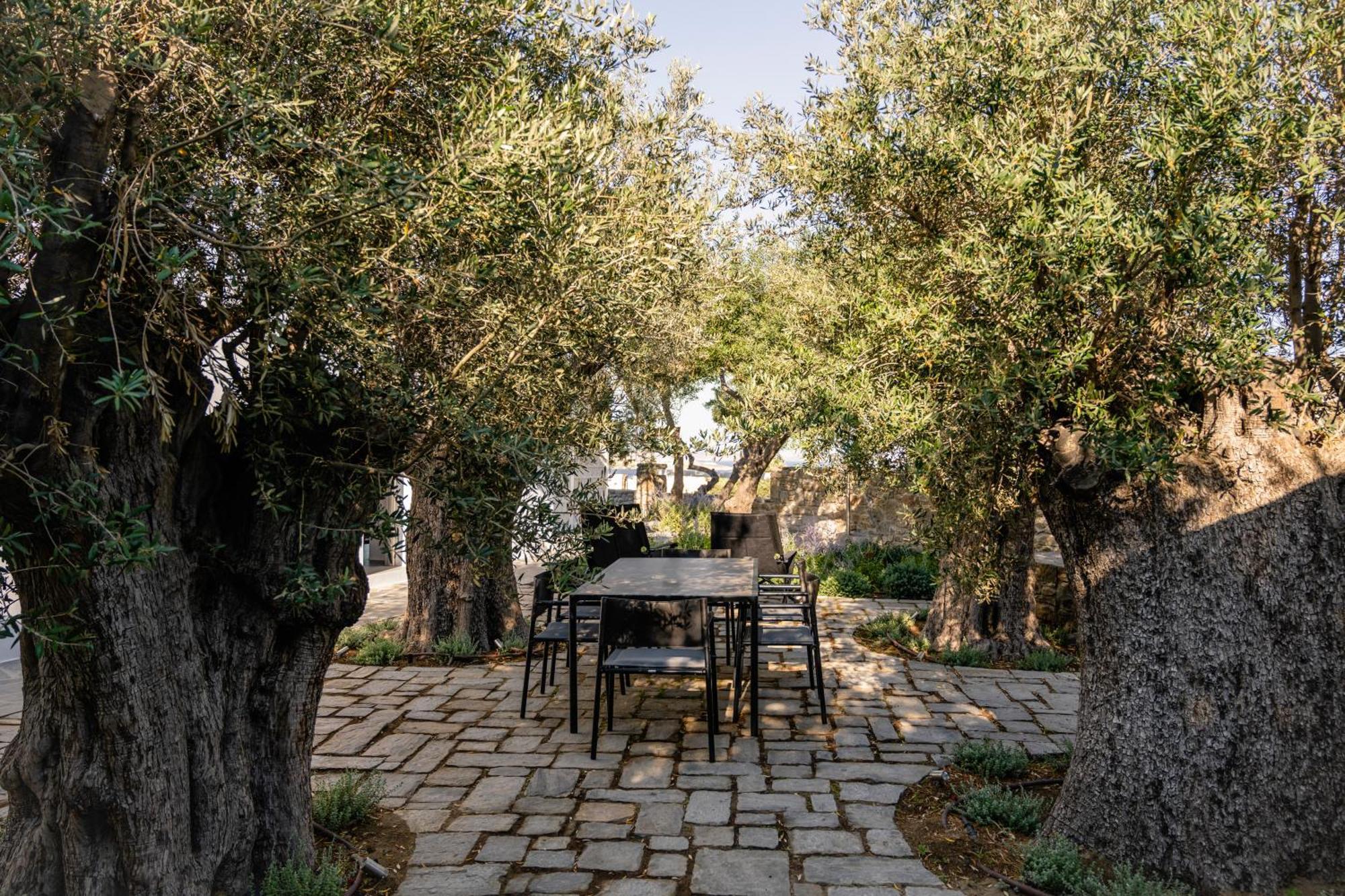 Rochari 4* Mykonos Town