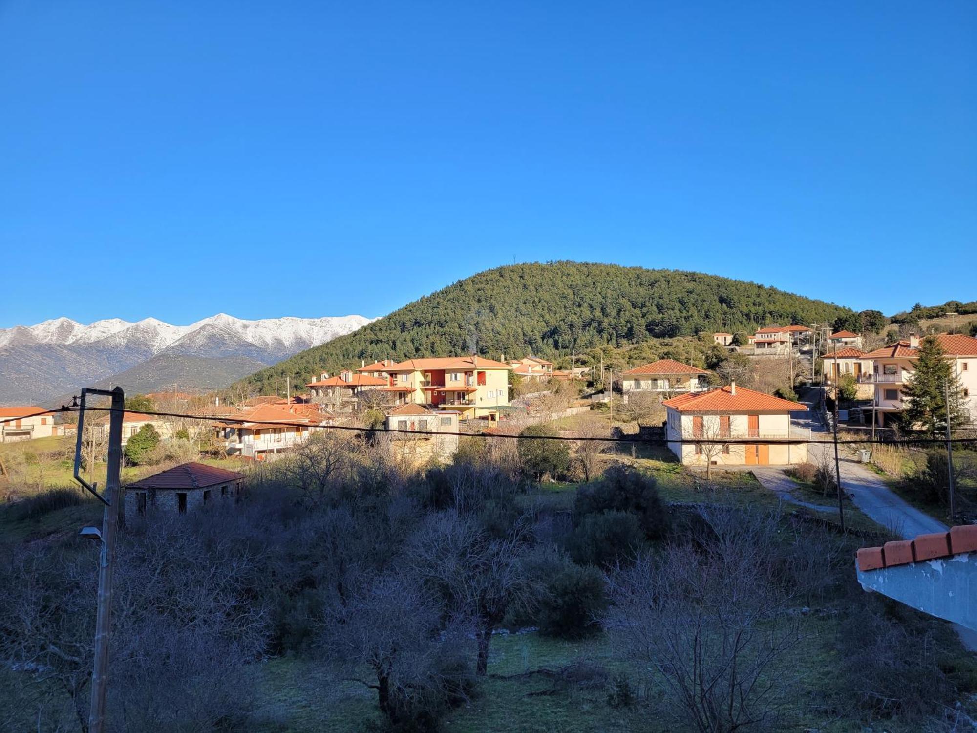 Xenonas Epavli Guest house Levidhion