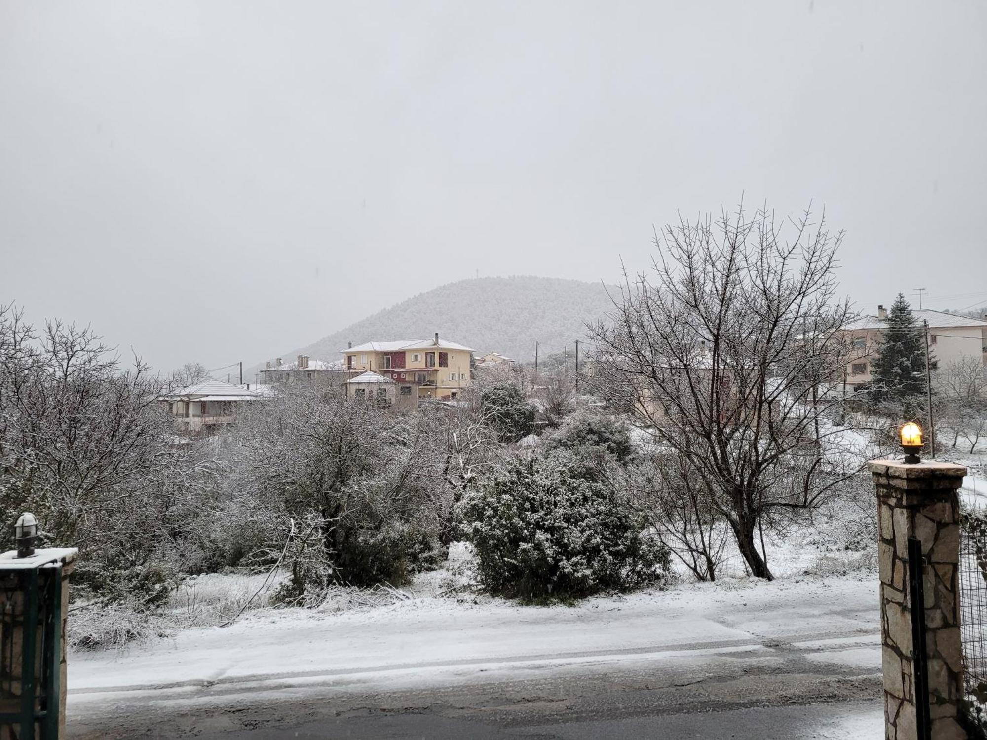 Xenonas Epavli Guest house Levidhion
